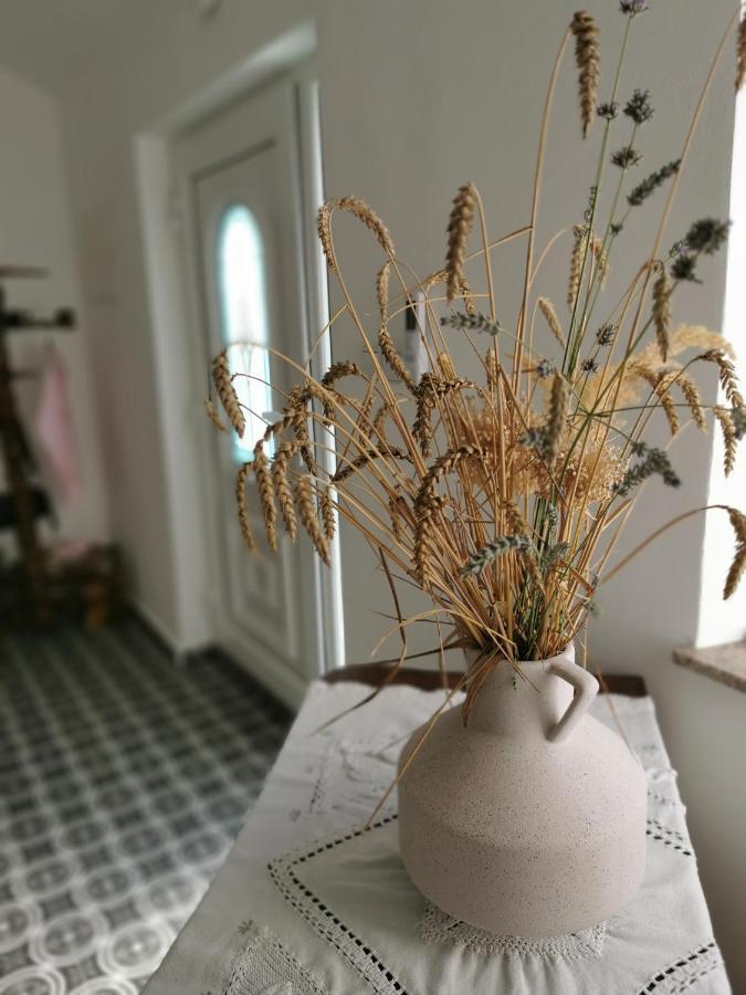 Charming Village House With Patio And Garden Slovenske Konjice Buitenkant foto